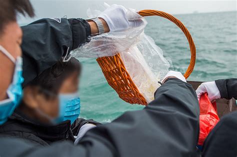 骨灰撒大海意义